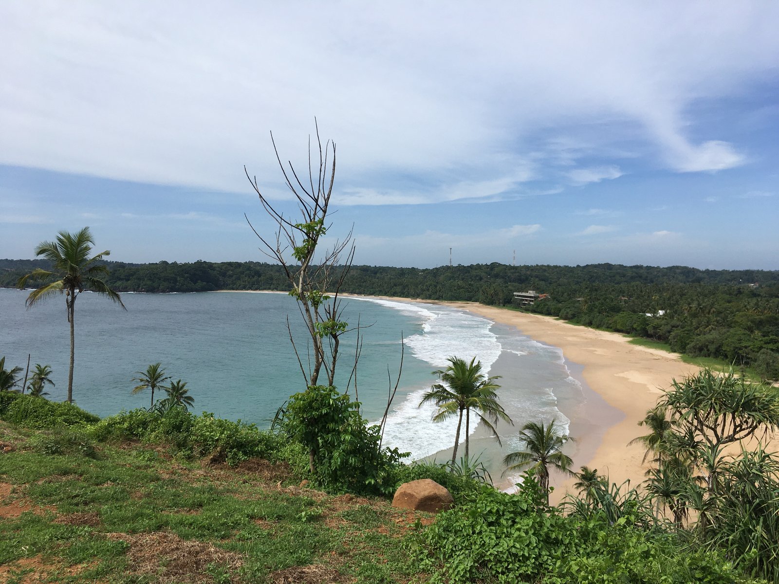 The bay and coastline, real photograph