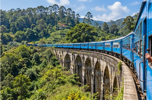 A blue train crossing a stone viaduct through tea country